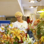 Wystawa lilii w Kieleckim Centrum Kultury / Marzena Mąkosa / Radio Kielce