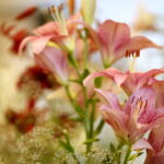 Wystawa lilii w Kieleckim Centrum Kultury / Marzena Mąkosa / Radio Kielce