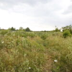 KTBS będzie budować osiedle. Działka, na której mają powstać lokale mieszkalne przy alei Jerzego Szajnowicza-Iwanowa / Marzena Mąkosa / Radio Kielce