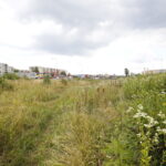 KTBS będzie budować osiedle. Działka, na której mają powstać lokale mieszkalne przy alei Jerzego Szajnowicza-Iwanowa / Marzena Mąkosa / Radio Kielce