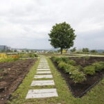 Stacja wakacje w Ogrodzie Botanicznym w Kielcach / Marzena Mąkosa / Radio Kielce