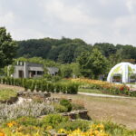 Uroczyste otwarcie Ogrodu Botanicznego / Marzena Mąkosa / Radio Kielce