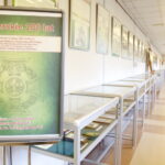 Harcerskie 100 lat. Wystawa z okazji 100 rocznicy utworzenia Związku Harcerstwa Polskiego ze zbiorów Wojewódzkiej Biblioteki Publicznej im. Witolda Gombrowicza w Kielcach oraz kolekcji Danuty i Andrzeja Rembalskich / Marzena Mąkosa / Radio Kielce