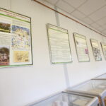 Harcerskie 100 lat. Wystawa z okazji 100 rocznicy utworzenia Związku Harcerstwa Polskiego ze zbiorów Wojewódzkiej Biblioteki Publicznej im. Witolda Gombrowicza w Kielcach oraz kolekcji Danuty i Andrzeja Rembalskich / Marzena Mąkosa / Radio Kielce