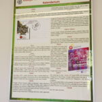 Harcerskie 100 lat. Wystawa z okazji 100 rocznicy utworzenia Związku Harcerstwa Polskiego ze zbiorów Wojewódzkiej Biblioteki Publicznej im. Witolda Gombrowicza w Kielcach oraz kolekcji Danuty i Andrzeja Rembalskich / Marzena Mąkosa / Radio Kielce