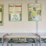 Harcerskie 100 lat. Wystawa z okazji 100 rocznicy utworzenia Związku Harcerstwa Polskiego ze zbiorów Wojewódzkiej Biblioteki Publicznej im. Witolda Gombrowicza w Kielcach oraz kolekcji Danuty i Andrzeja Rembalskich / Marzena Mąkosa / Radio Kielce