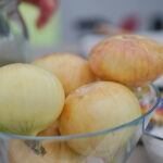 Śniadanie w ogrodzie Radia Kielce. Cebule / Marzena Mąkosa / Radio Kielce