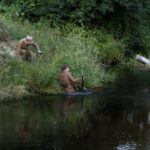 Kielecka Brygada Piechoty / Marzena Mąkosa / Radio Kielce