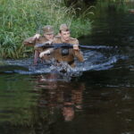 Kielecka Brygada Piechoty / Marzena Mąkosa / Radio Kielce