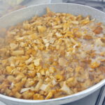 Śniadanie w ogrodzie Radia Kielce / Marzena Mąkosa / Radio Kielce