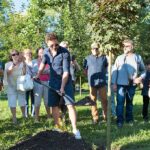 Festiwal im. Krystyny Jamroz. Andrzej Piaseczny zasadza pamiątkowe drzewko w Parku Zdrojowym / Piotr Kaleta / Buskie Samorządowe Centrum Kultury