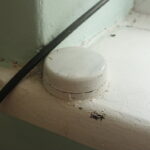 Polacy ratujący Żydów. Nowy Korczyn. Macugowscy. Pozostalosci po niemieckich urządzeniach w domu Macugowskich / Marlena Płaska / Radio Kielce