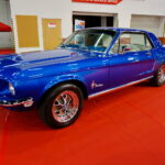 VII Festiwal Tuningu DUB IT! / Wiktor Dziarmaga / Radio Kielce