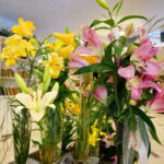 Wystawa lilii w Kieleckim Centrum Kultury / Wiktor Dziarmaga / Radio Kielce