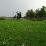 Zakład w Smugach / Emilia Sitarska / Radio Kielce