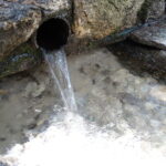 27.06.2018 Karwów. Źródełko bł. Wincentego Kadłubka / Emilia Sitarska / Radio Kielce