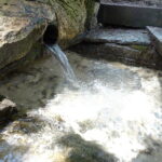 27.06.2018 Karwów. Źródełko bł. Wincentego Kadłubka / Emilia Sitarska / Radio Kielce