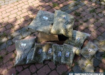 Ożarowscy policjanci ujawnili paczkę, w której znajdowało się 2,5 kg dopalaczy / świętokrzyska policja