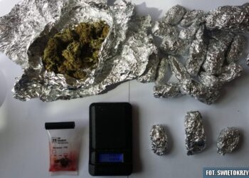 Zabezpieczone narkotyki w domu mieszkańca Końskich / świętokrzyska policja