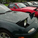 8. Karburator, czyli zjazd zabytkowych pojazdów / Emilia Sitarska / Radio Kielce