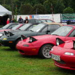 8. Karburator, czyli zjazd zabytkowych pojazdów / Emilia Sitarska / Radio Kielce