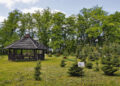 Arboretum Dendrologiczne w Drugni / Paweł Zarzyński i Robert Tomusiak / lasy.gov.pl