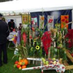 Kunów. Dożynki powiatu ostrowieckiego / Emilia Sitarska / Radio Kielce