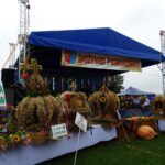 Kunów. Dożynki powiatu ostrowieckiego / Emilia Sitarska / Radio Kielce