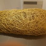 Kielce. Nowe wystawy w BWA / Katarzyna Prędotka / Radio Kielce