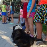 Kazimierza Wielka. Pierwsza Kazimierska Parada Psów / Kamil Włosowicz / Radio Kielce