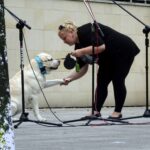 Kazimierza Wielka. Pierwsza Kazimierska Parada Psów / Kamil Włosowicz / Radio Kielce