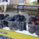 Szydłów. 21. Święto Śliwki / Karol Wójcik / Radio Kielce