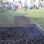 Szydłów. 21. Święto Śliwki / Karol Wójcik / Radio Kielce