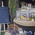 Szydłów. 21. Święto Śliwki / Karol Wójcik / Radio Kielce