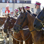 Marsz Szlakiem I Kompanii Kadrowej - piechurzy dotarli do Miechowa / Karol Wójcik / Radio Kielce