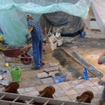 XII-wieczna kolegiata świętego Jana Chrzciciela w Skalbmierzu / Wiktor Dziarmaga / Radio Kielce