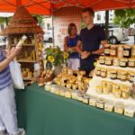 Pyszne miody i ciekawe informacje o pszczelarstwie w Sandomierzu