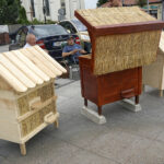 II Świętokrzyskie Dni Miodu / Michał Kita / Radio Kielce