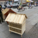 II Świętokrzyskie Dni Miodu / Michał Kita / Radio Kielce