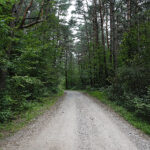 Czerwona Góra. Ulica Dobrzączka / Jarosław Kubalski / Radio Kielce