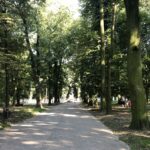 Sandomierz. Park Miejski / Grażyna Szlęzak - Wójcik / Radio Kielce