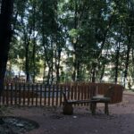 Sandomierz. Park Miejski / Grażyna Szlęzak - Wójcik / Radio Kielce