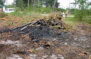 Starachowice. Drzewa w okolicy zalewu Lubianka zaatakowane przez kornika ostrozębnego / Anna Głąb / Radio Kielce