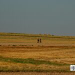 Marsz Szlakiem I Kompanii Kadrowej - piechurzy weszli na ziemię świętokrzyską / Michał Wójtowicz / Związek Strzelecki Strzelec JS 2105 Kielce