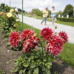 22.07.2018 Kielce. Ogród botaniczny / Jarosław Kubalski / Radio Kielce