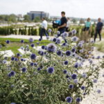 22.07.2018 Kielce. Ogród botaniczny / Jarosław Kubalski / Radio Kielce