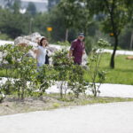22.07.2018 Kielce. Ogród botaniczny / Jarosław Kubalski / Radio Kielce