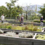 22.07.2018 Kielce. Ogród botaniczny / Jarosław Kubalski / Radio Kielce