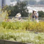 22.07.2018 Kielce. Ogród botaniczny / Jarosław Kubalski / Radio Kielce