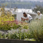22.07.2018 Kielce. Ogród botaniczny / Jarosław Kubalski / Radio Kielce
